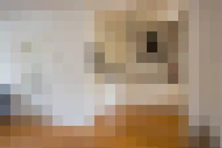 Van den Steen van Ommerenstraat 15 Nijkerk thumbnail 7