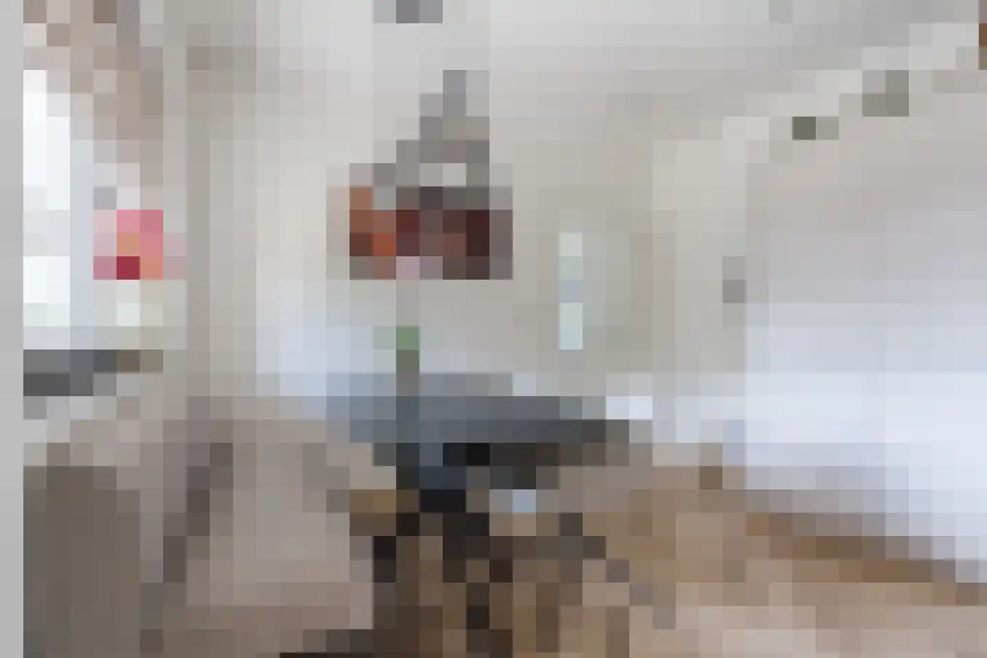 van den Tillaartstraat 13 Bergeijk thumbnail 12