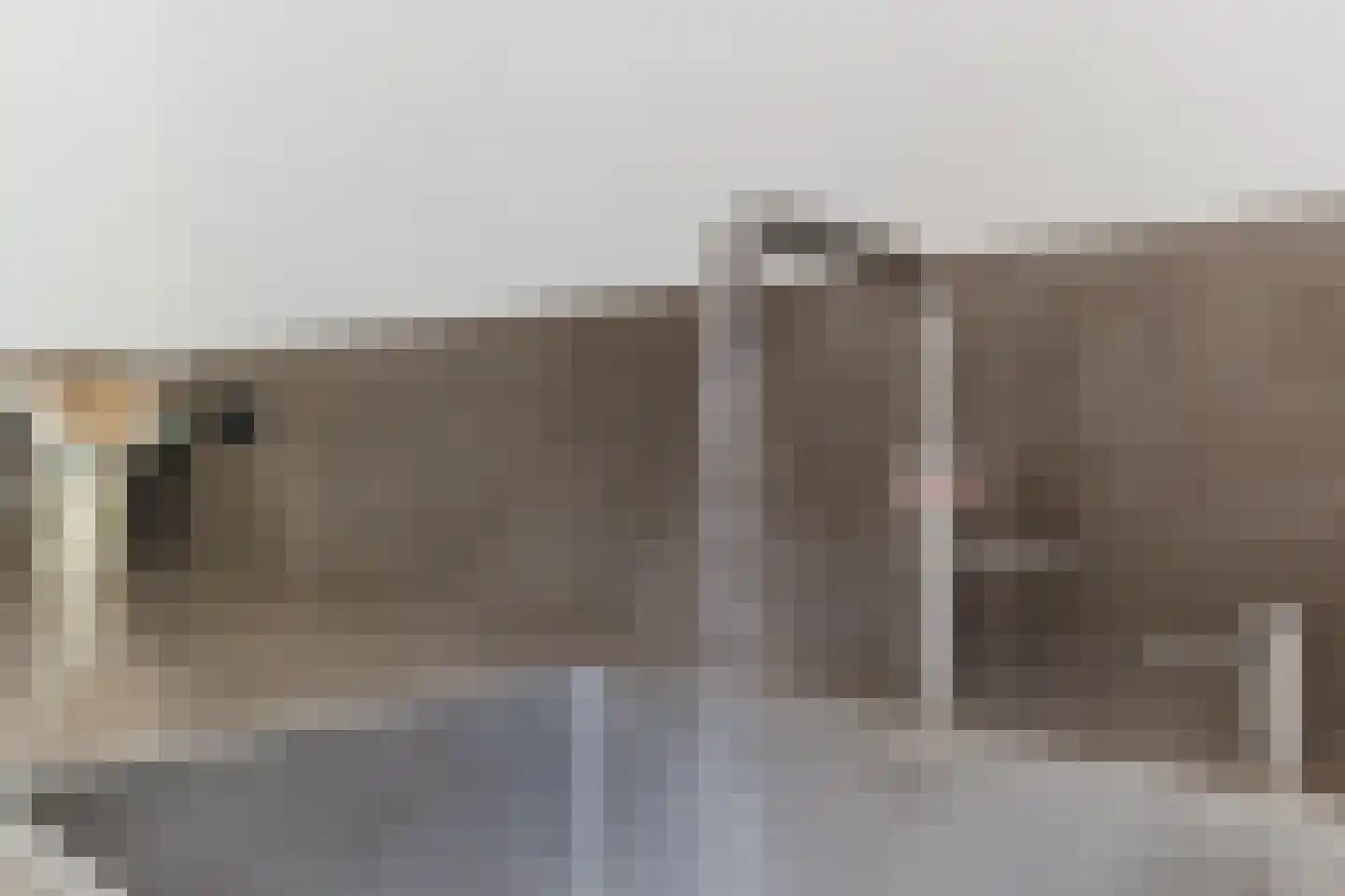 van den Tillaartstraat 13 Bergeijk thumbnail 14