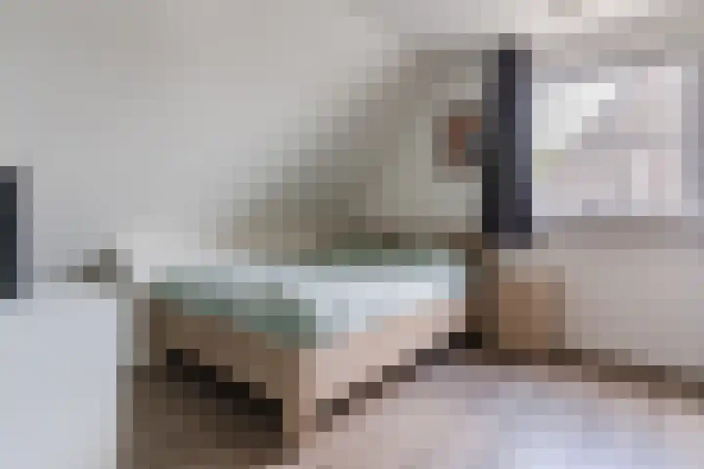 van den Tillaartstraat 13 Bergeijk thumbnail 30
