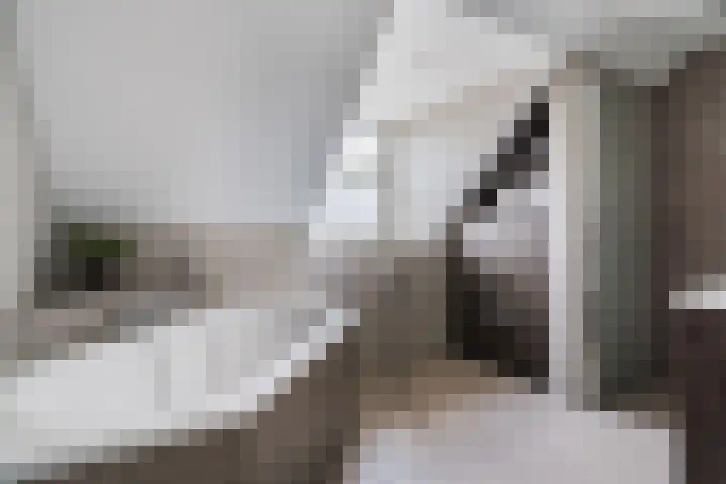 van den Tillaartstraat 13 Bergeijk thumbnail 36