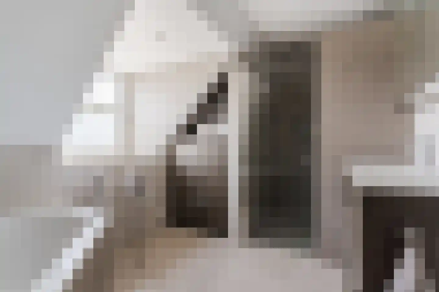 van den Tillaartstraat 13 Bergeijk thumbnail 37