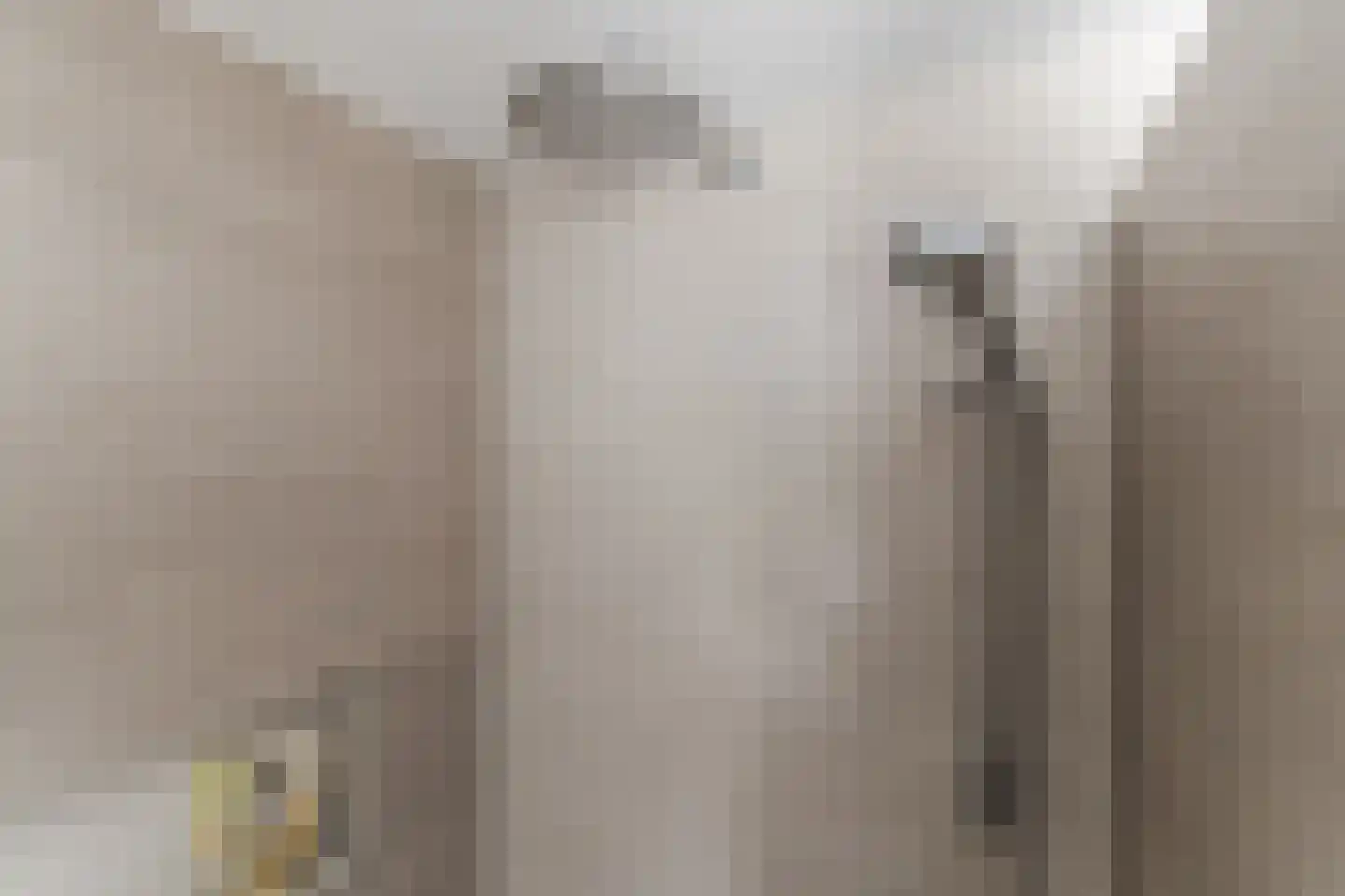 van den Tillaartstraat 13 Bergeijk thumbnail 39