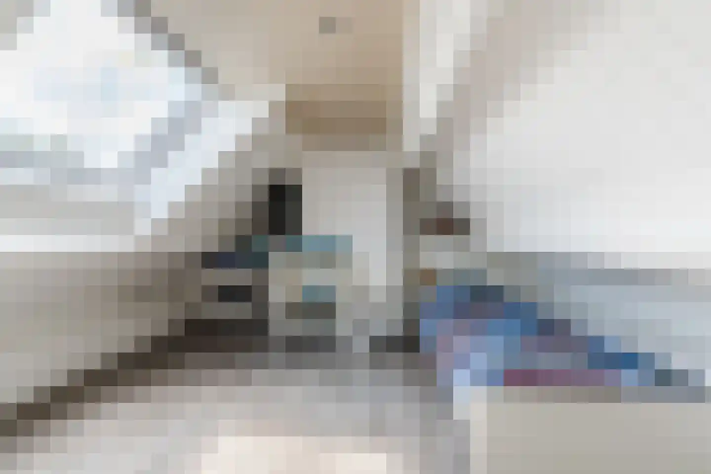 van den Tillaartstraat 13 Bergeijk thumbnail 41