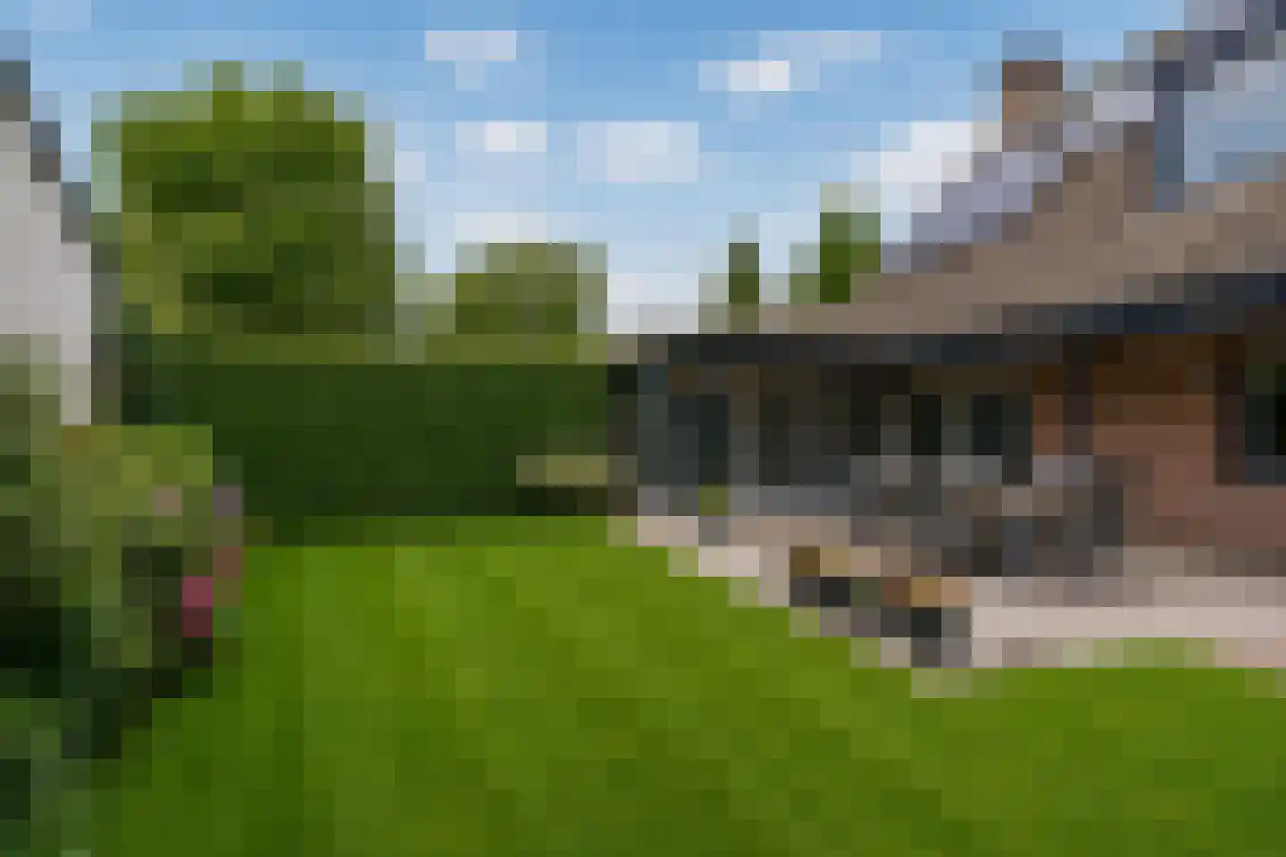 van den Tillaartstraat 13 Bergeijk thumbnail 47