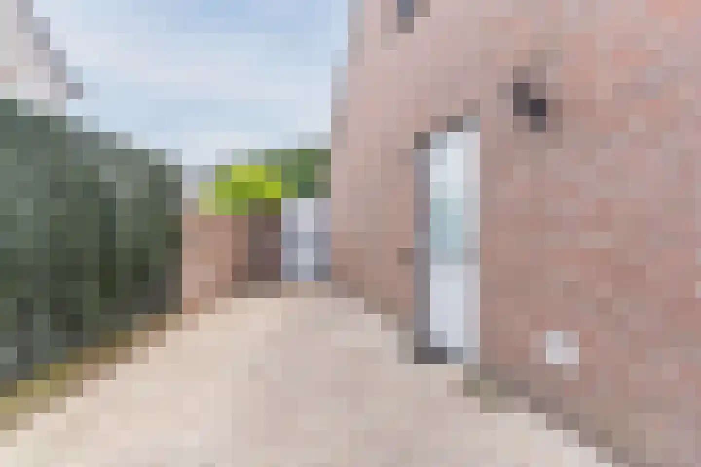 van den Tillaartstraat 13 Bergeijk thumbnail 50
