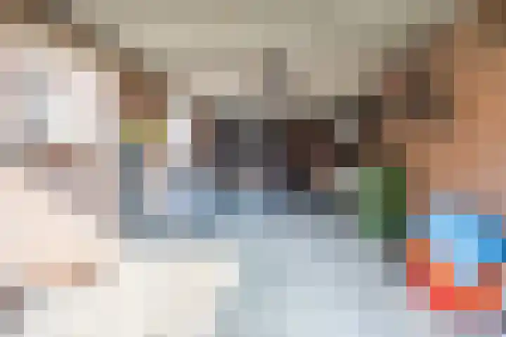 van den Tillaartstraat 16 Bergeijk thumbnail 31