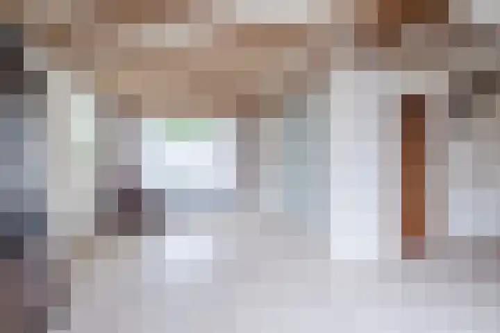 van den Tillaartstraat 16 Bergeijk thumbnail 5