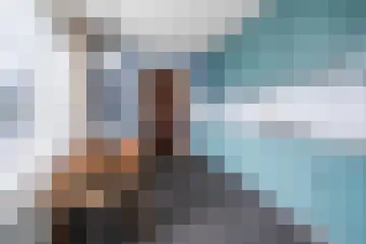 van den Tillaartstraat 16 Bergeijk thumbnail 9