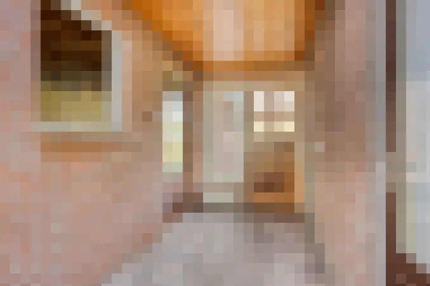 van den Tillaartstraat 3 Bergeijk thumbnail 15