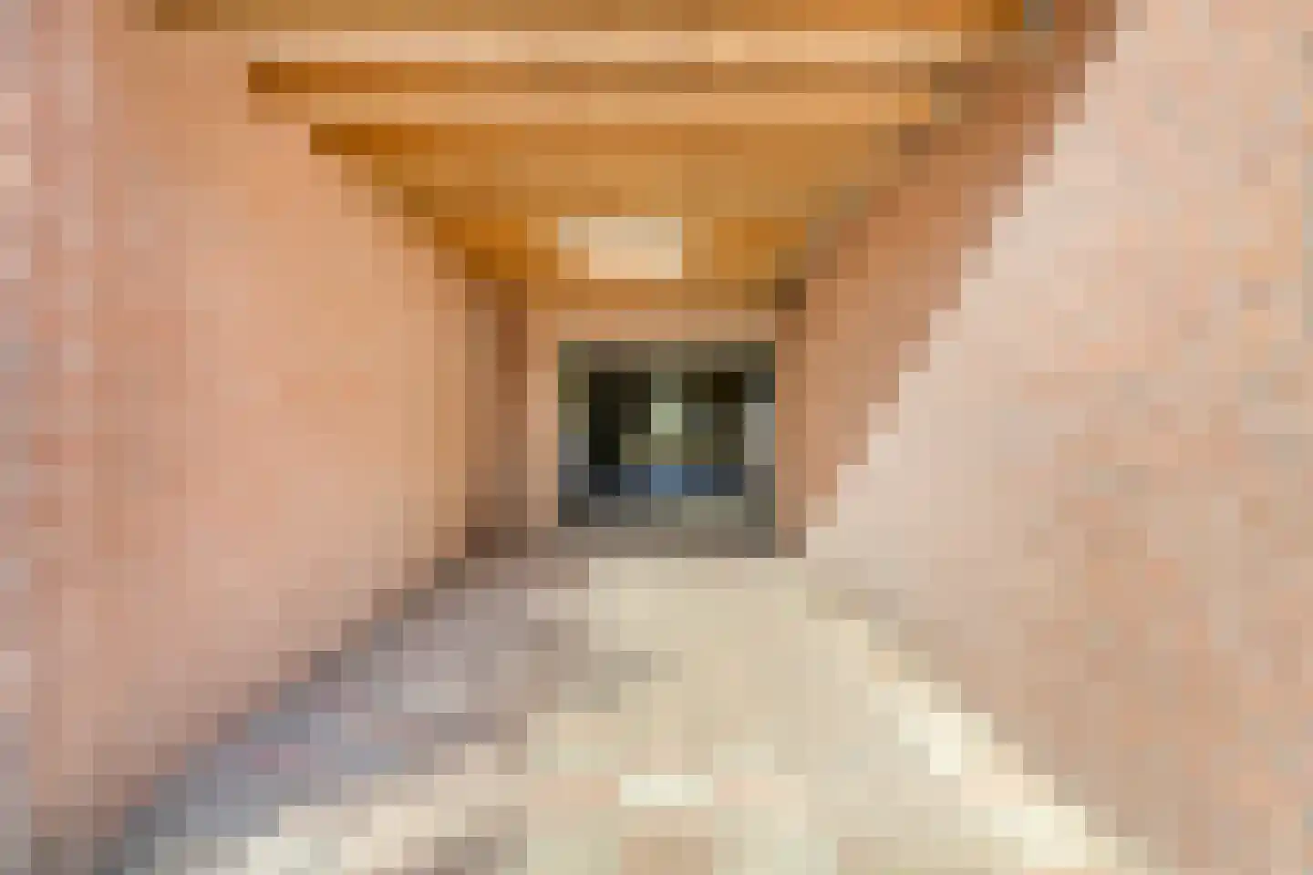 van den Tillaartstraat 3 Bergeijk thumbnail 17
