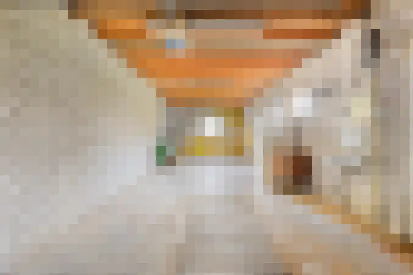 van den Tillaartstraat 3 Bergeijk thumbnail 18