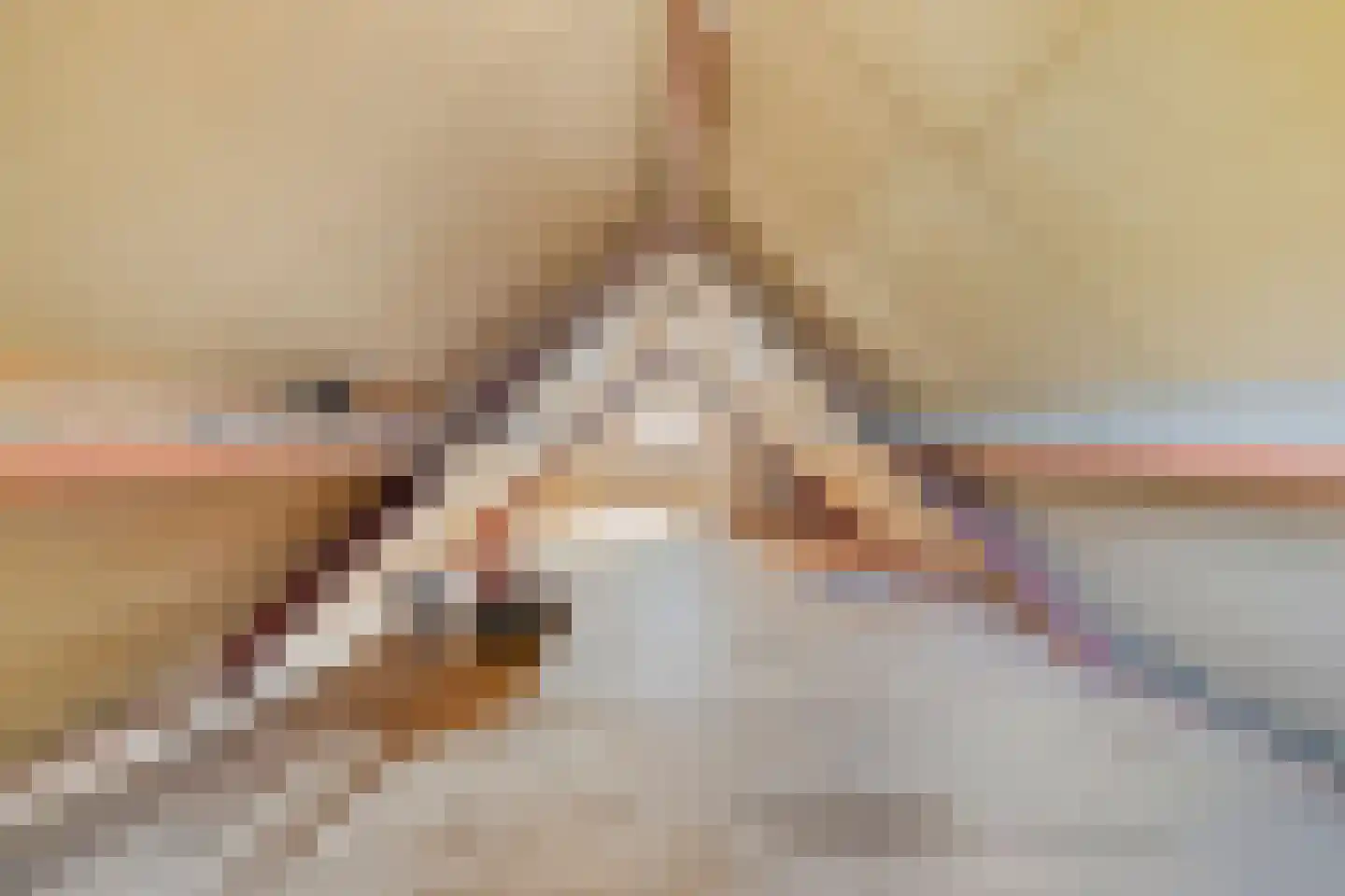 van den Tillaartstraat 3 Bergeijk thumbnail 21