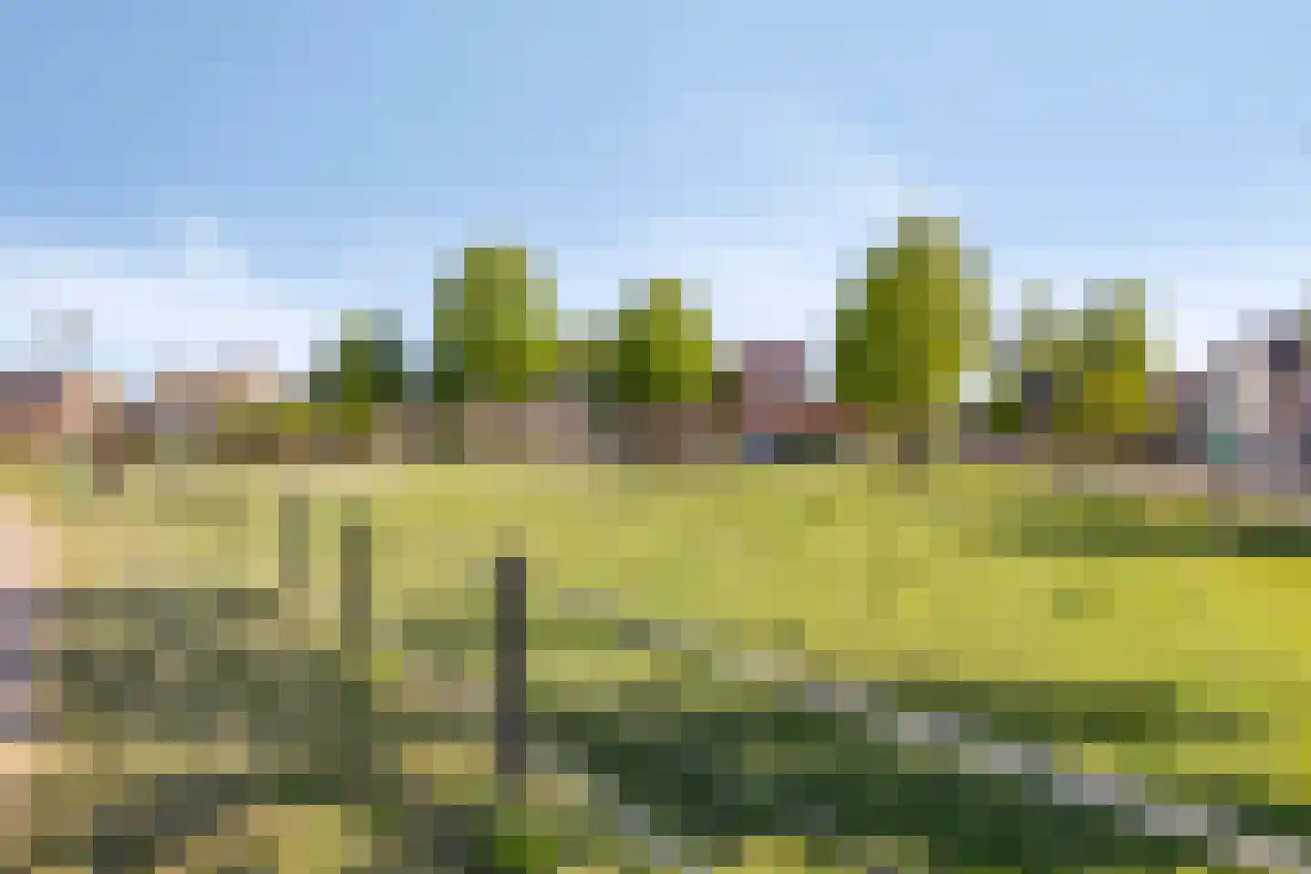 van den Tillaartstraat 3 Bergeijk thumbnail 36
