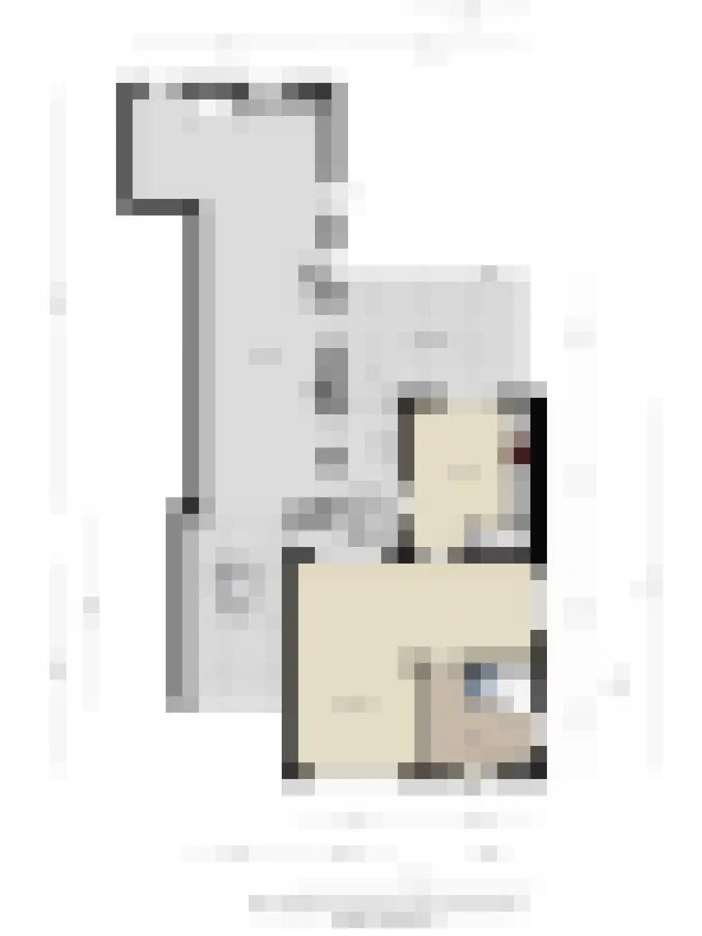 van den Tillaartstraat 3 Bergeijk thumbnail 44