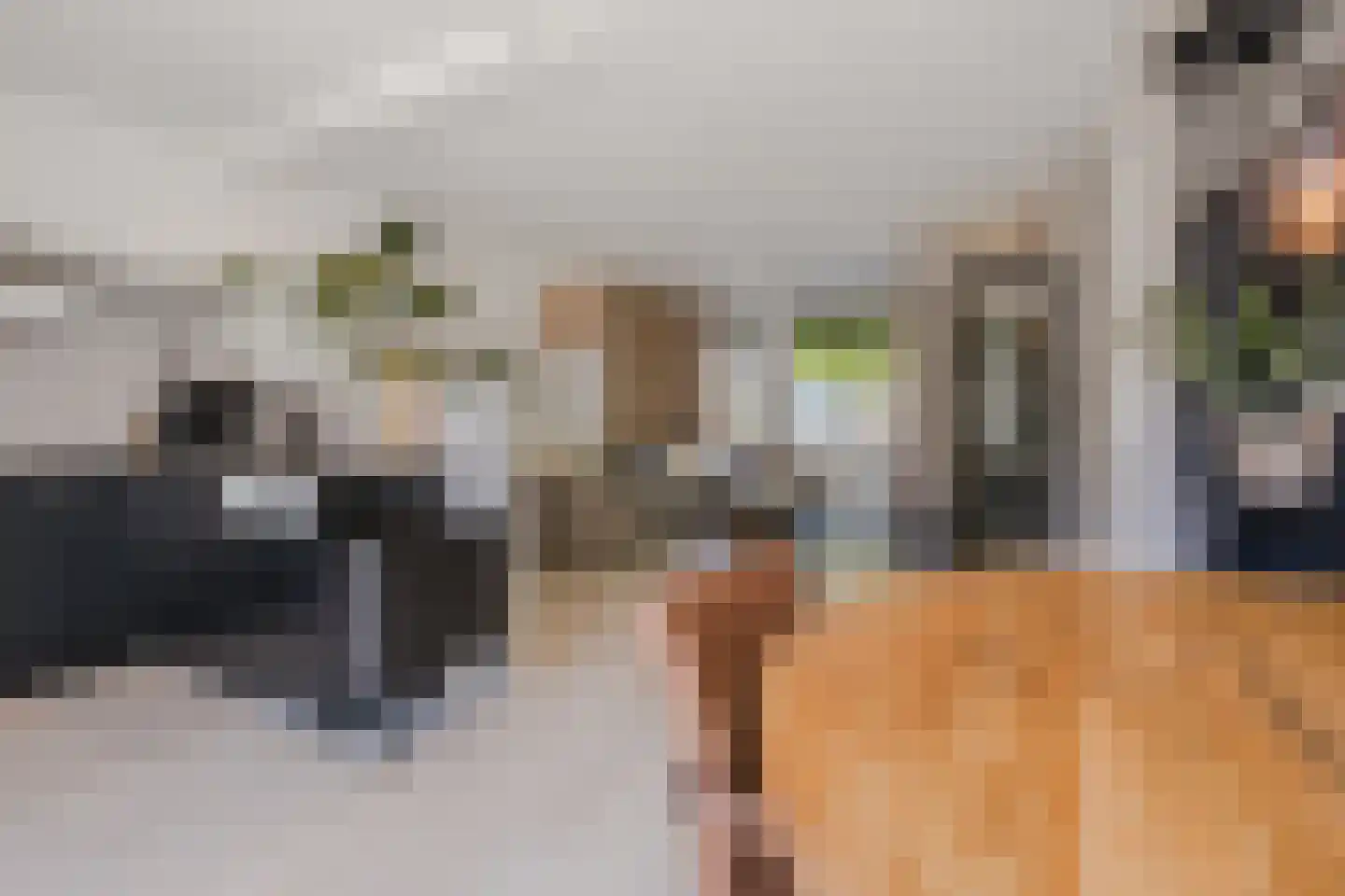 Van den Tyverbelt 8 Zwolle thumbnail 15