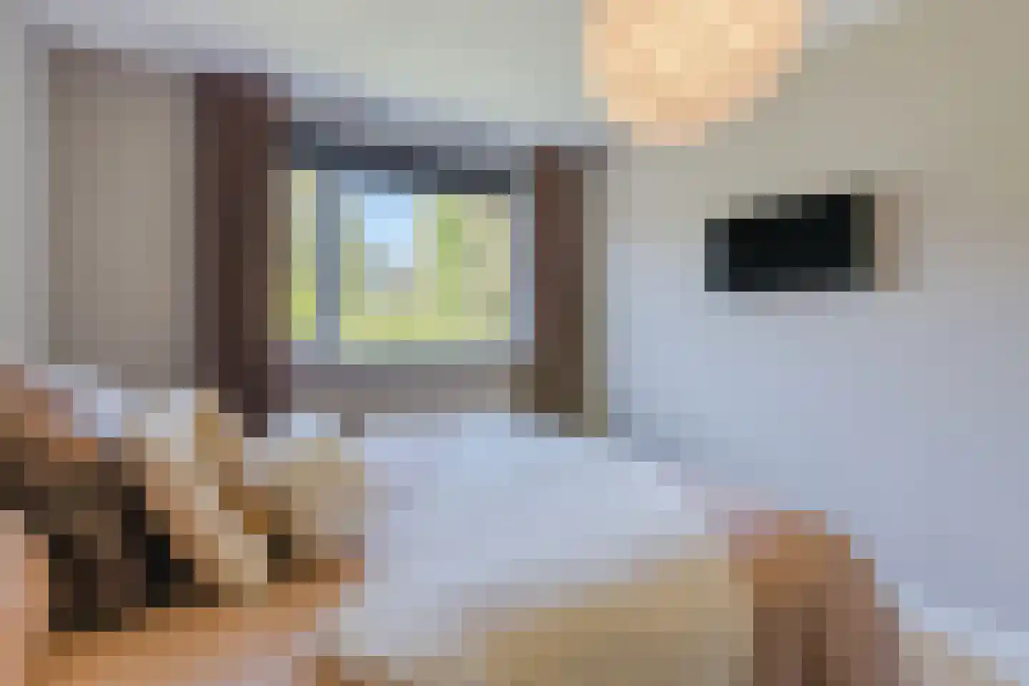 Van den Tyverbelt 8 Zwolle thumbnail 18