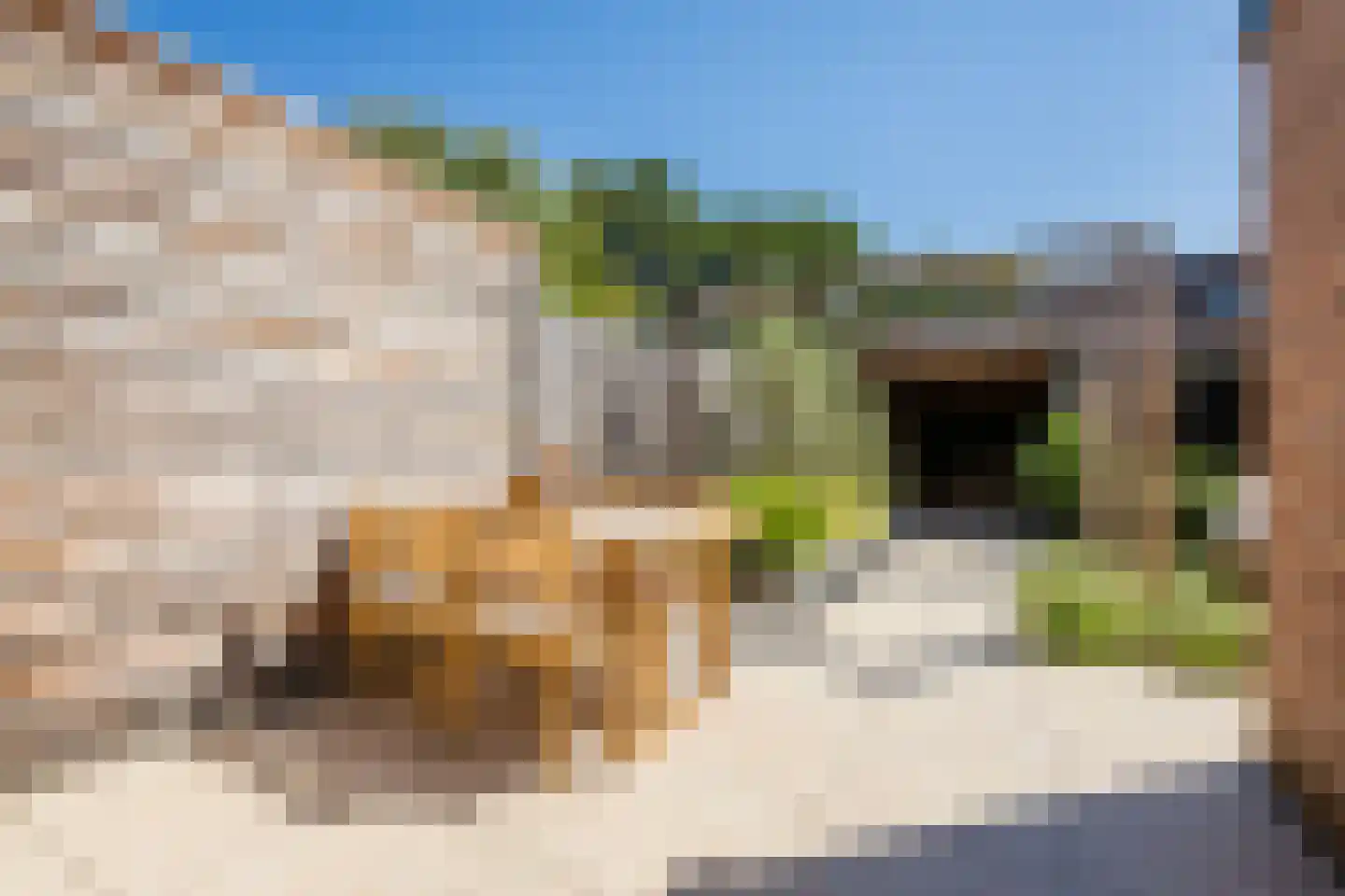 Van den Tyverbelt 8 Zwolle thumbnail 33