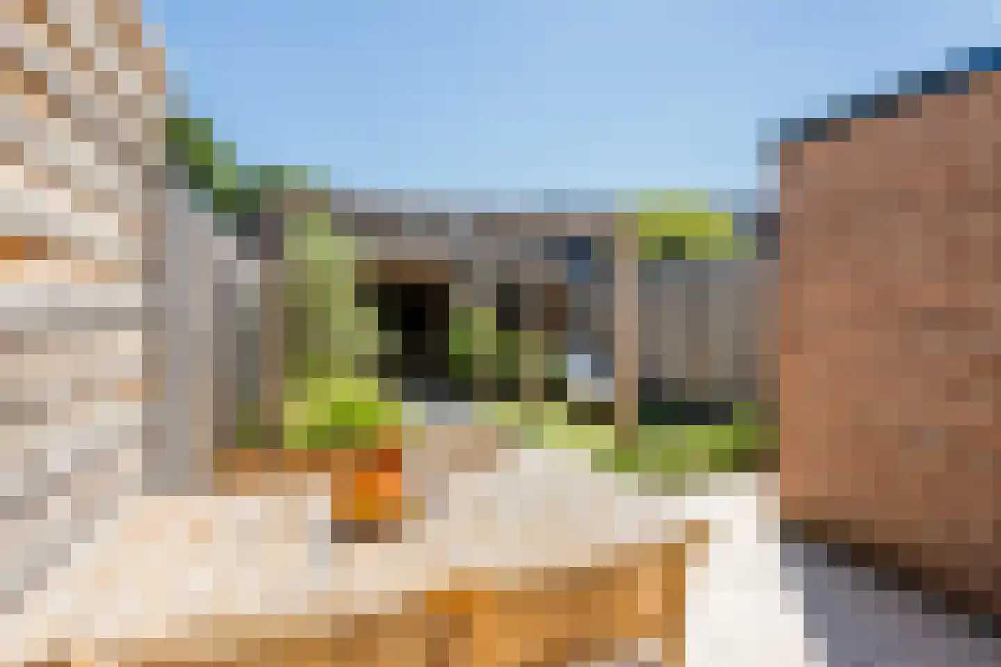 Van den Tyverbelt 8 Zwolle thumbnail 34