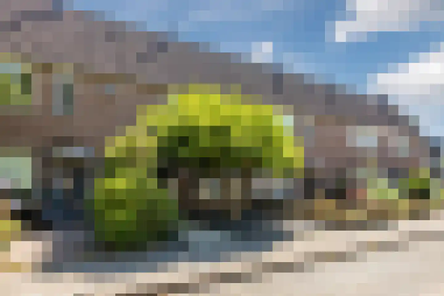 Van den Tyverbelt 8 Zwolle thumbnail 47