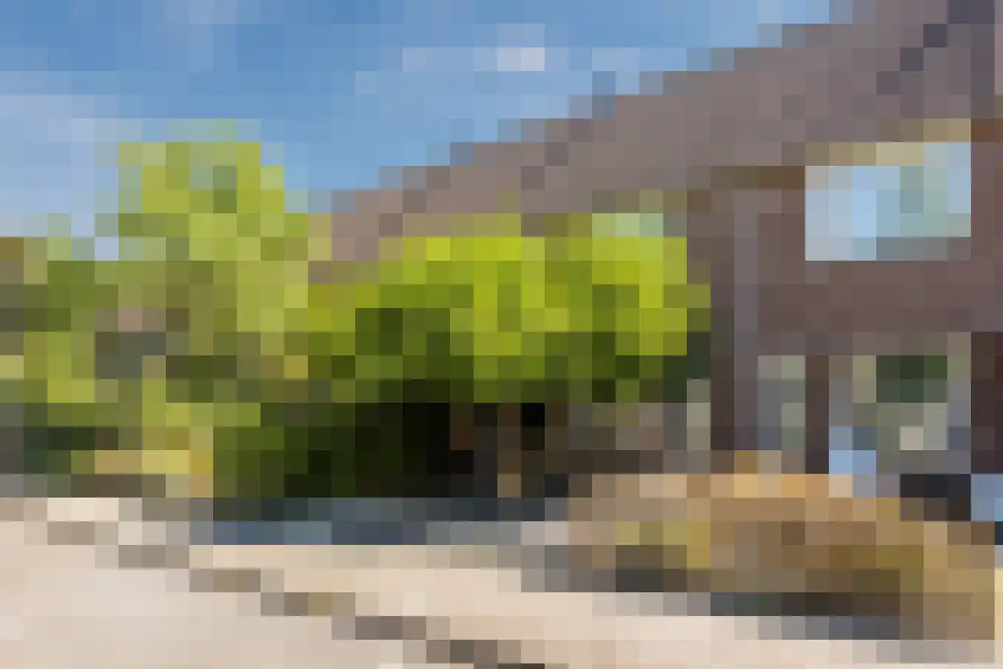 Van den Tyverbelt 8 Zwolle thumbnail 48