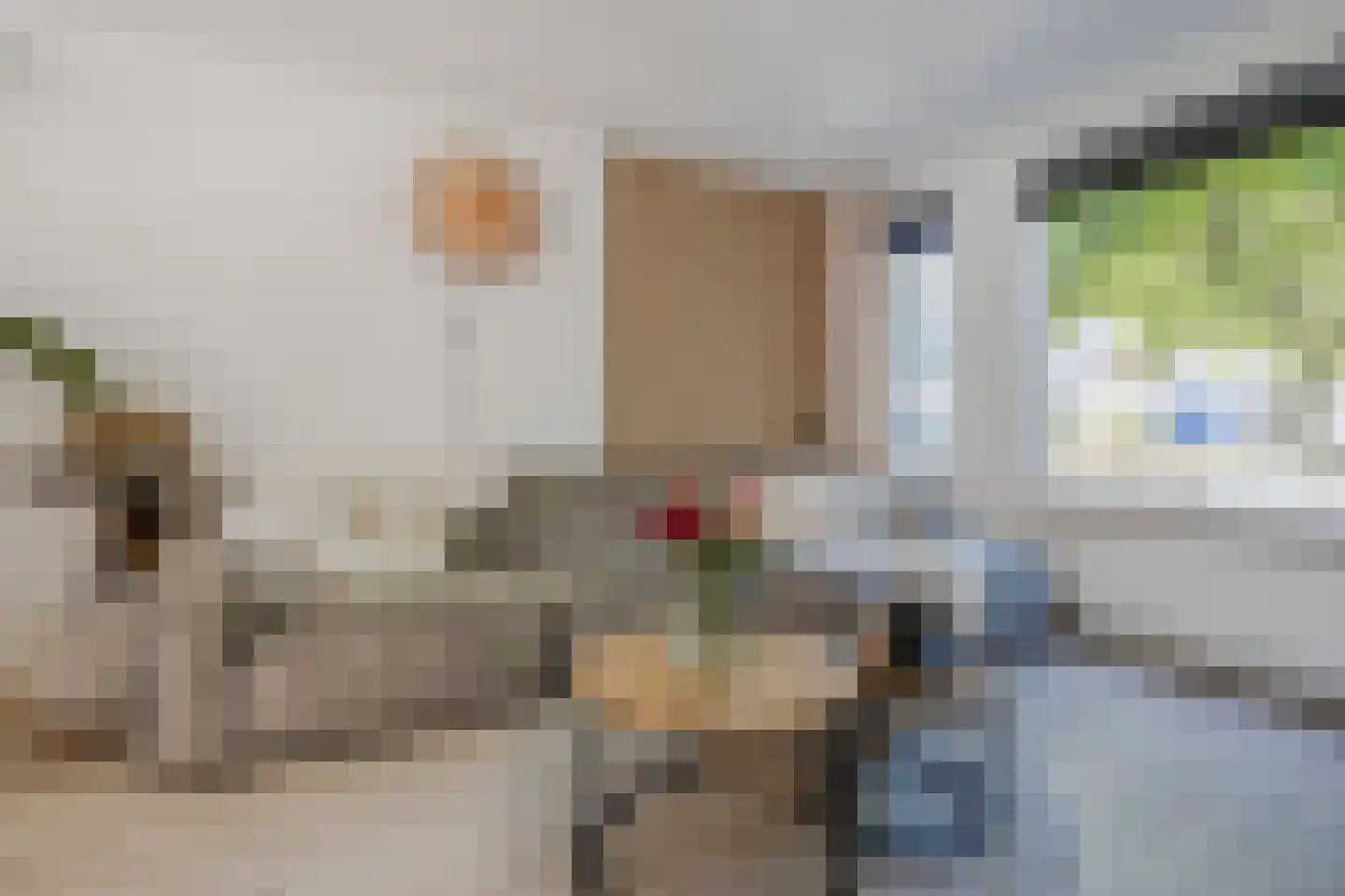 Van den Tyverbelt 8 Zwolle thumbnail 7
