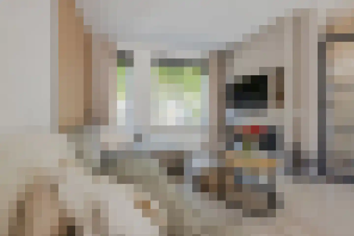 Van den Tyverbelt 8 Zwolle thumbnail 8