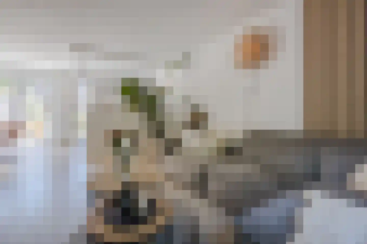 Van den Tyverbelt 8 Zwolle thumbnail 9