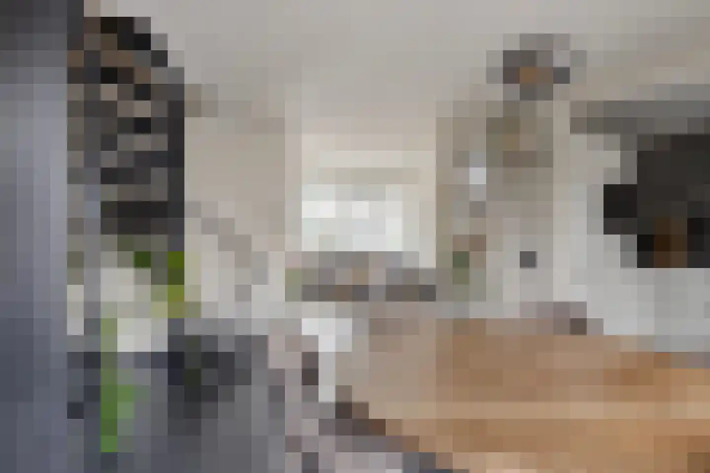 van den Valgaetstraat 20 Bergeijk thumbnail 13