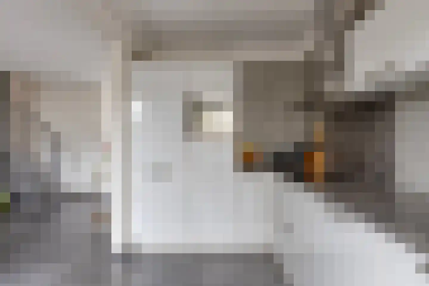 van den Valgaetstraat 20 Bergeijk thumbnail 15