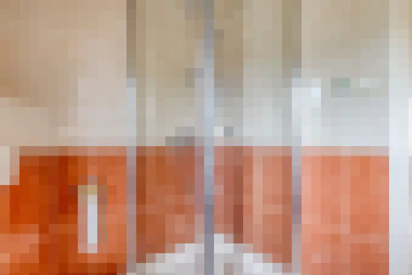 van den Valgaetstraat 22 Bergeijk thumbnail 21