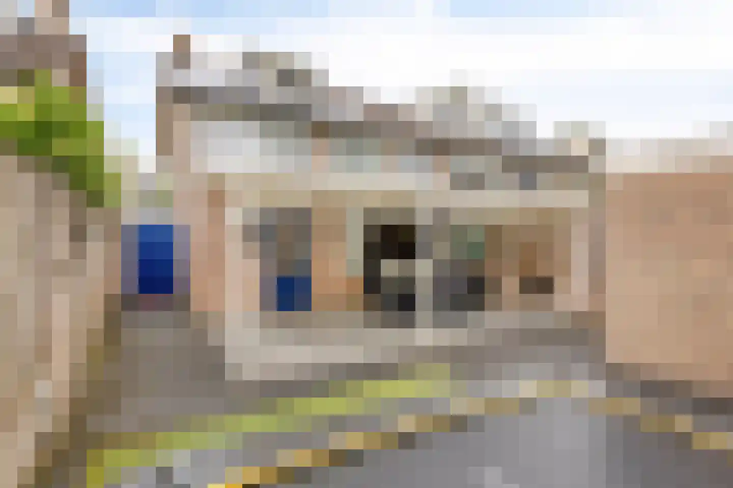 van den Valgaetstraat 22 Bergeijk thumbnail 28