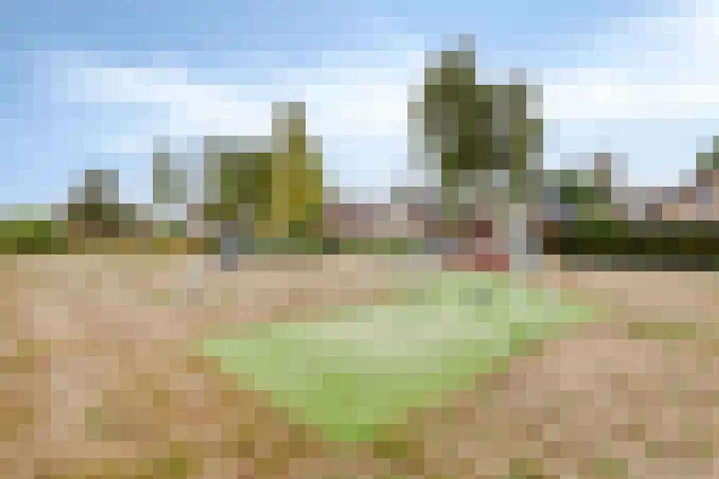 van den Valgaetstraat 22 Bergeijk thumbnail 33