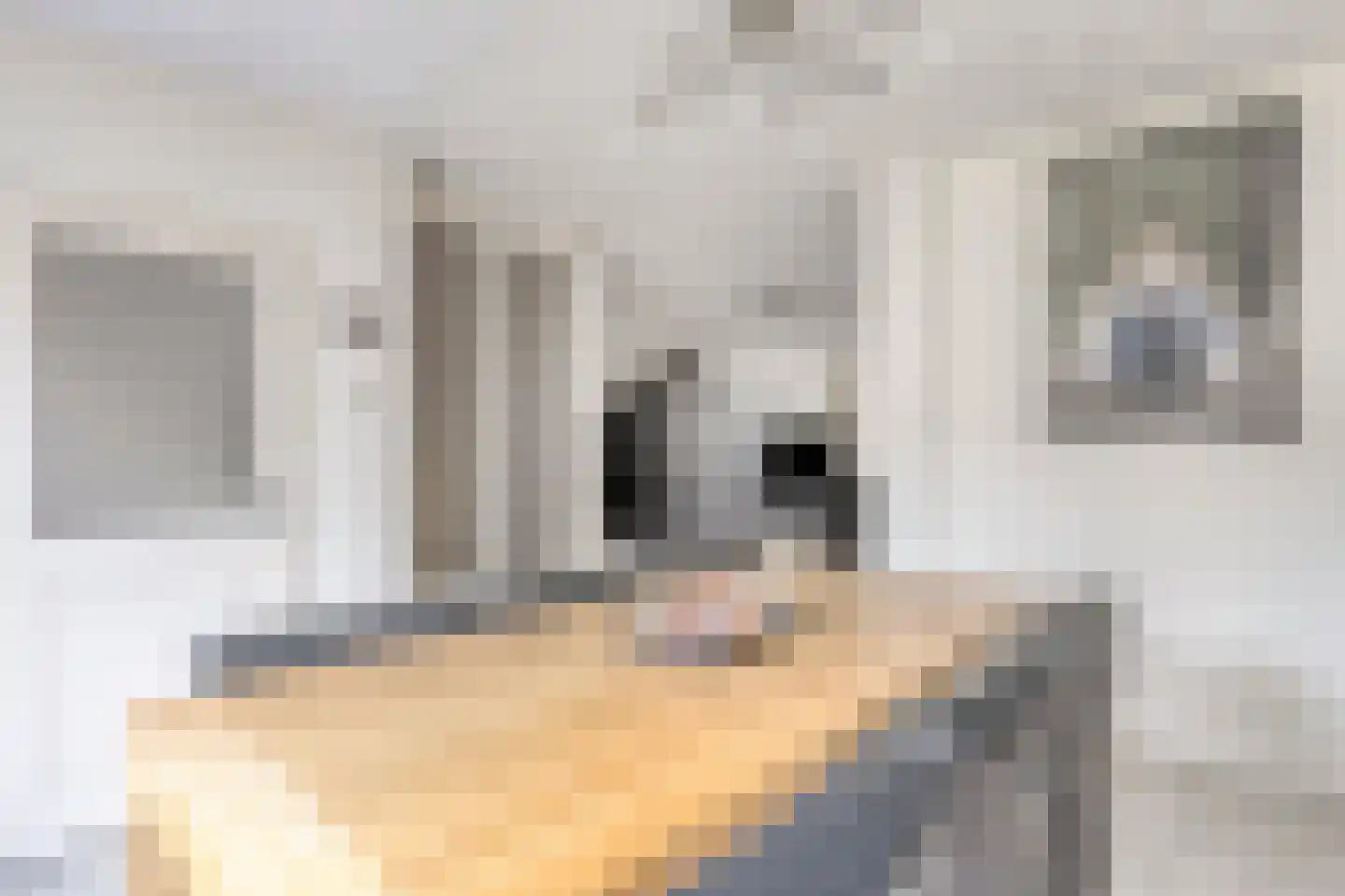 van den Valgaetstraat 22 Bergeijk thumbnail 4