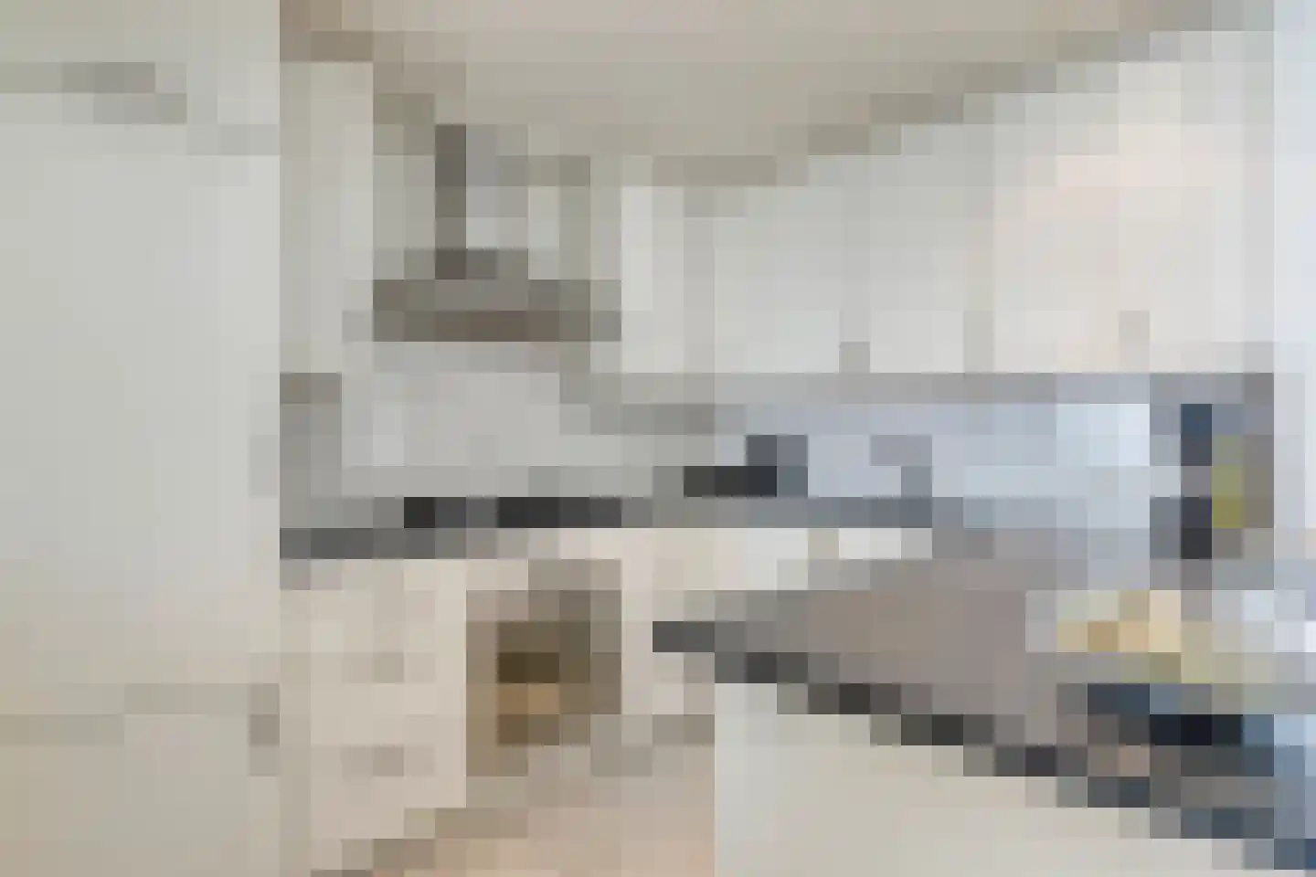 van den Valgaetstraat 22 Bergeijk thumbnail 9