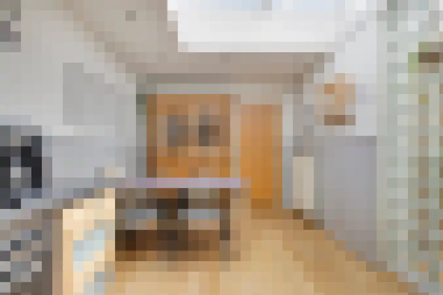 van den Valgaetstraat 6 Bergeijk thumbnail 18