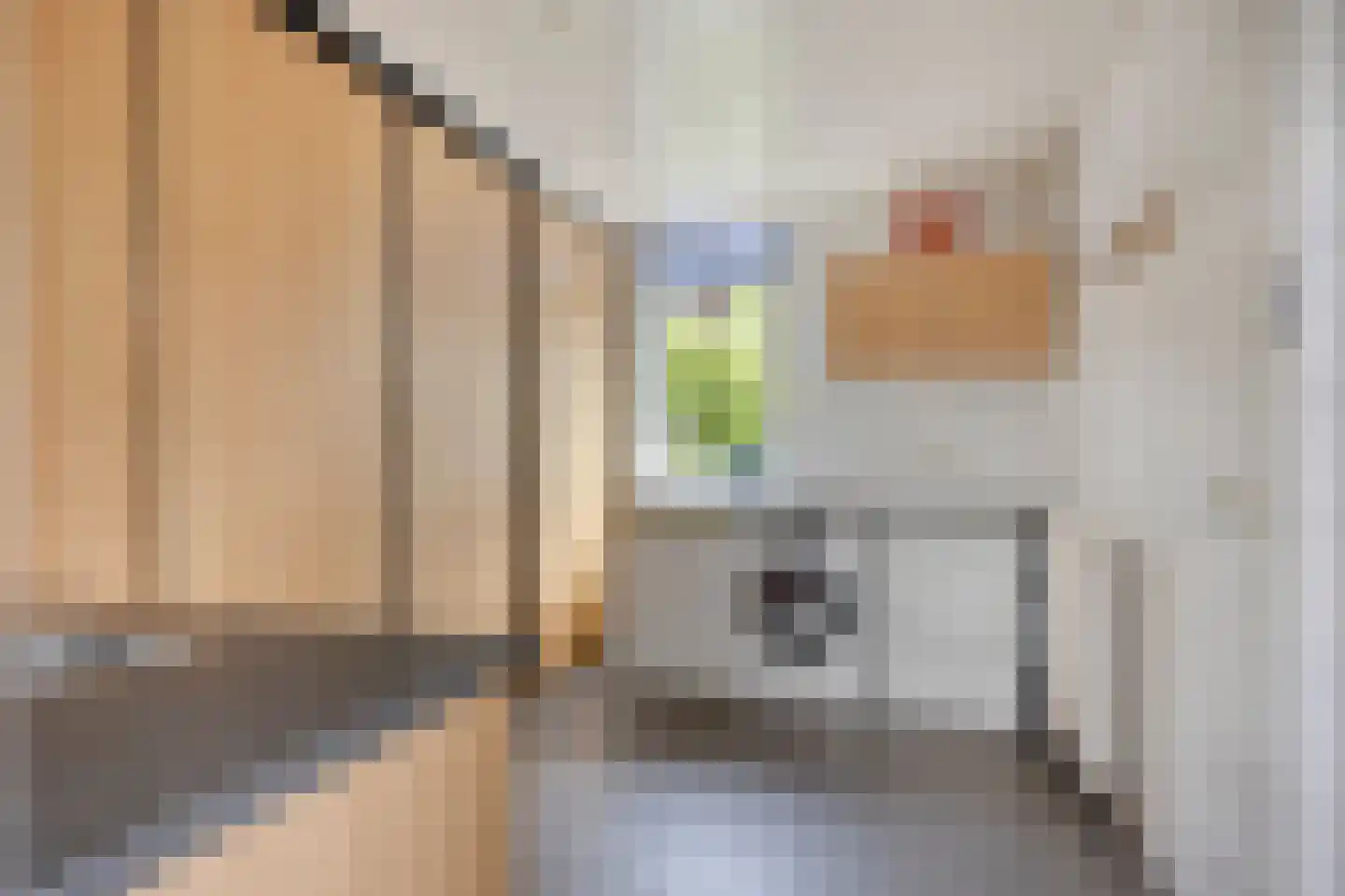 van den Valgaetstraat 6 Bergeijk thumbnail 19