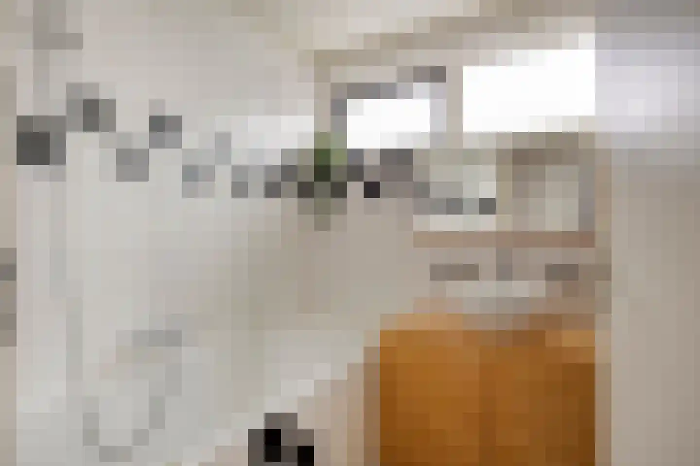 van den Valgaetstraat 6 Bergeijk thumbnail 24