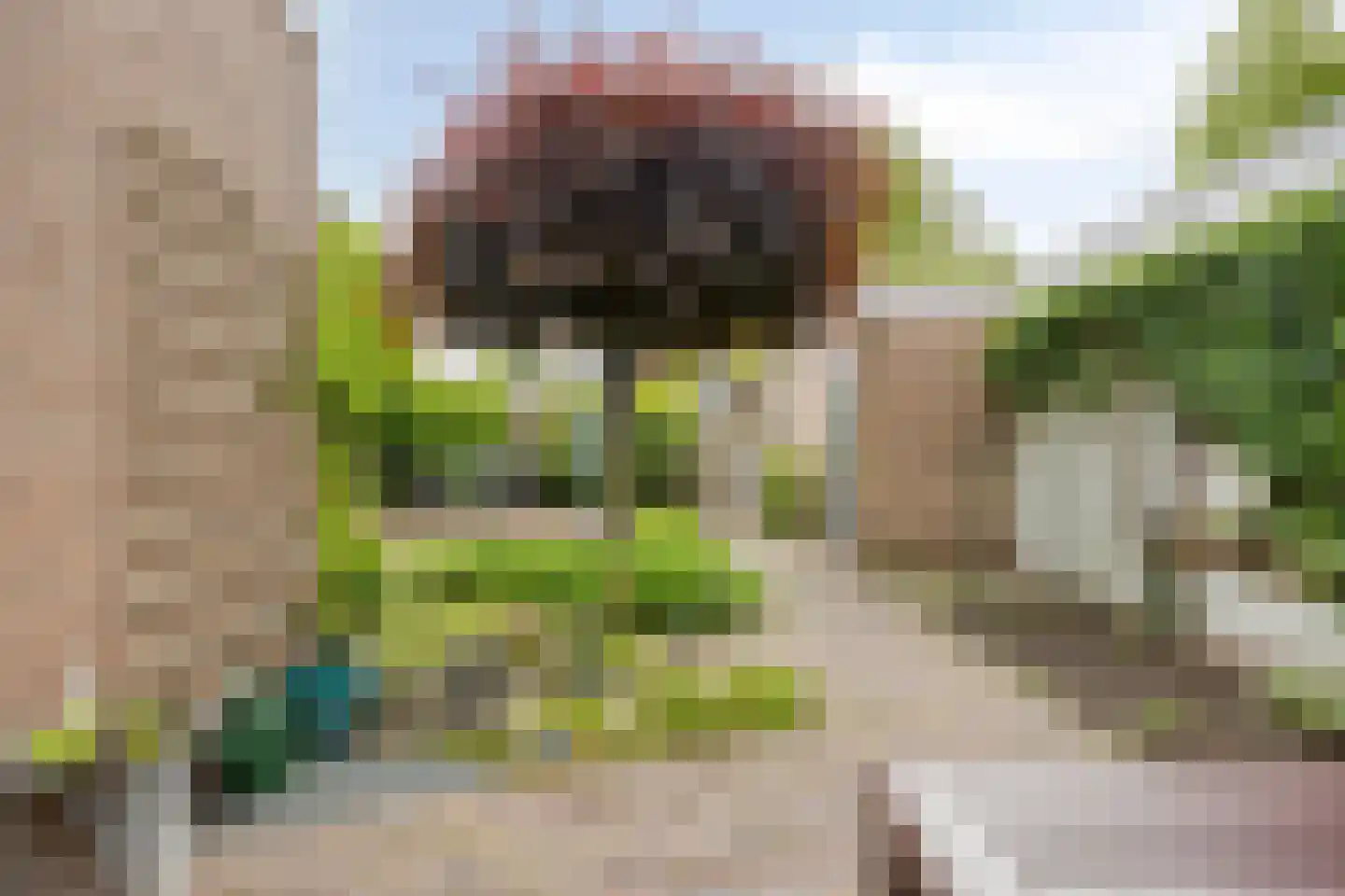 van den Valgaetstraat 6 Bergeijk thumbnail 32