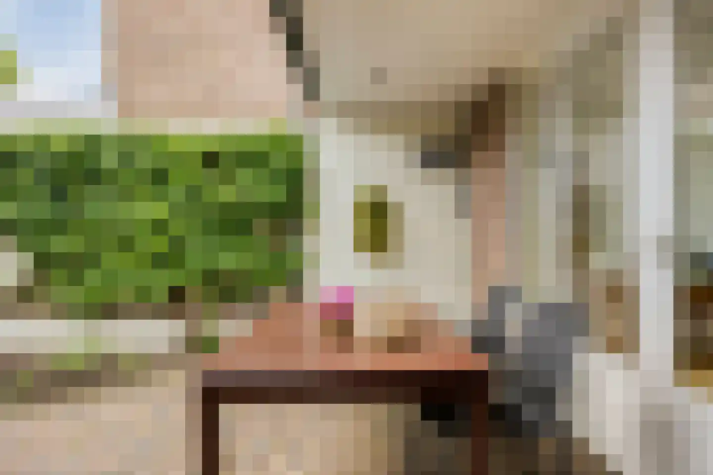 van den Valgaetstraat 6 Bergeijk thumbnail 33