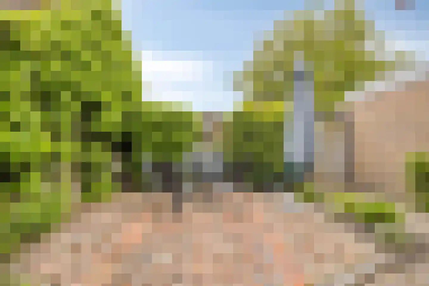 van den Valgaetstraat 6 Bergeijk thumbnail 34