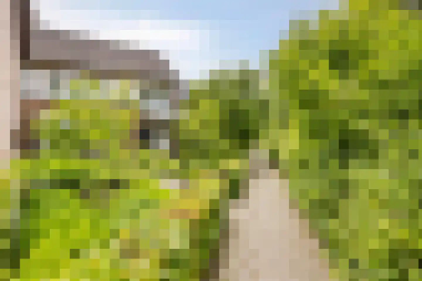 van den Valgaetstraat 6 Bergeijk thumbnail 40