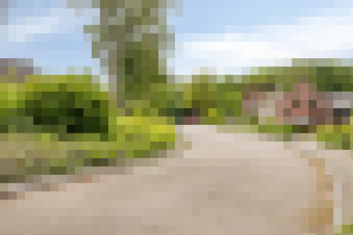van den Valgaetstraat 6 Bergeijk thumbnail 43