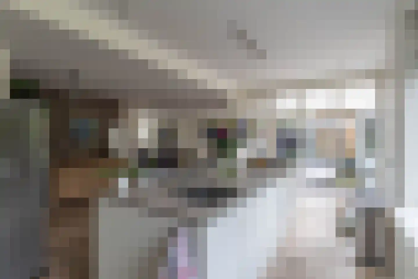 Van den Vondellaan 10 Driehuis NH thumbnail 13