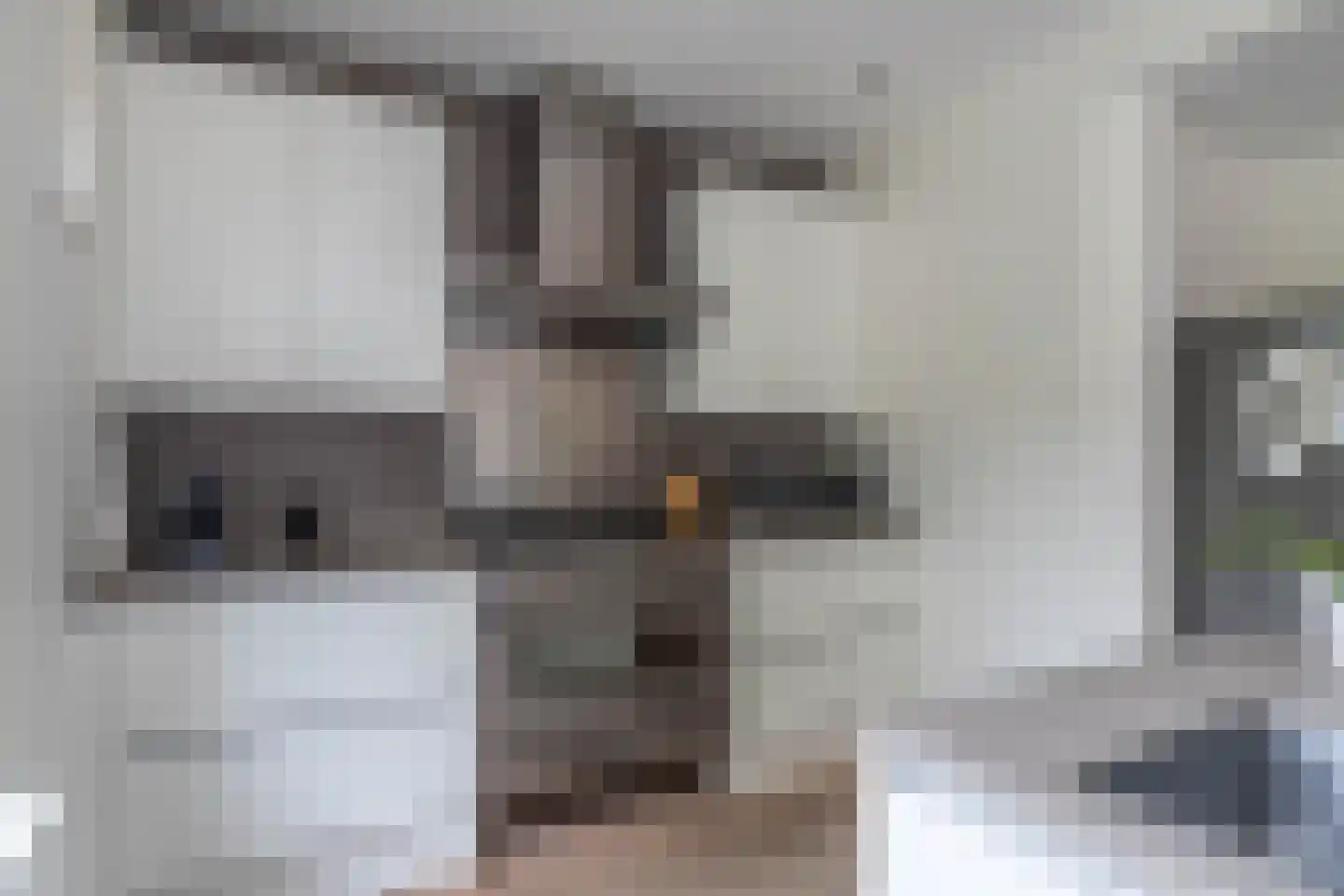 Van den Vondellaan 10 Driehuis NH thumbnail 14