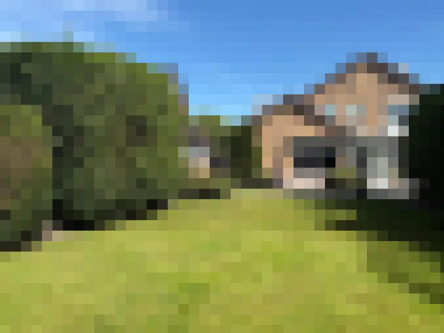 Van den Vondellaan 10 Driehuis NH thumbnail 28