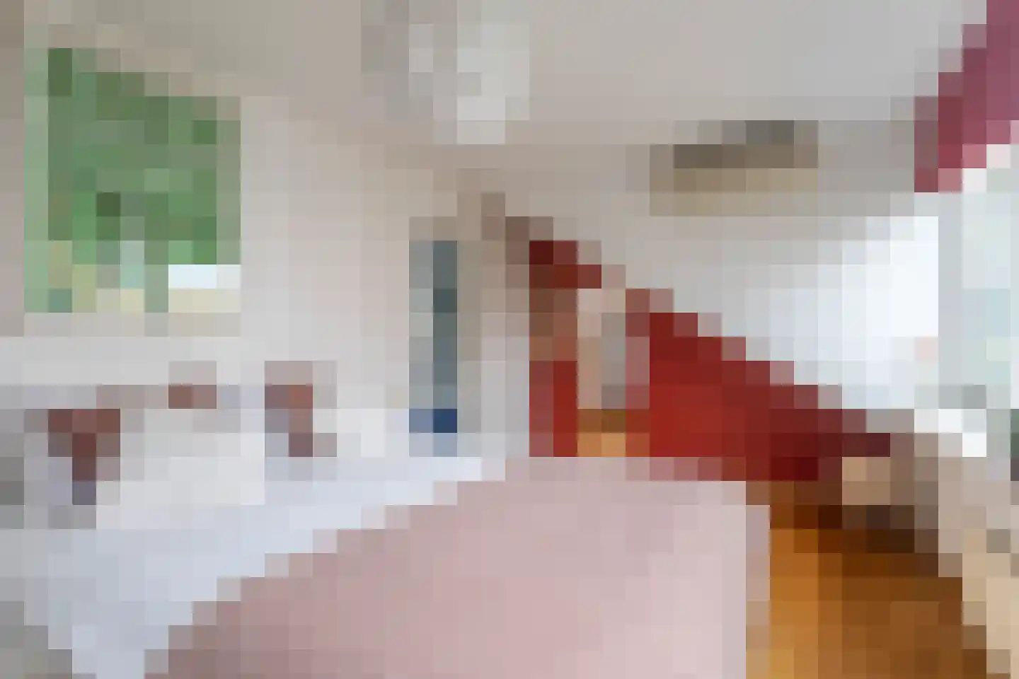 Van den Vondellaan 10 Driehuis NH thumbnail 33