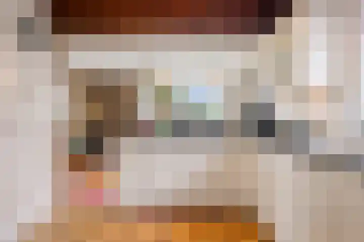 Van den Vondellaan 14 Driehuis NH thumbnail 11