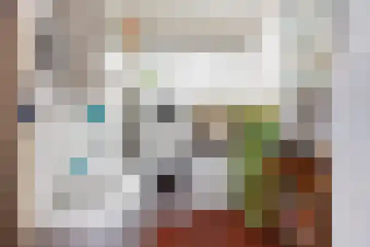 Van den Vondellaan 14 Driehuis NH thumbnail 13
