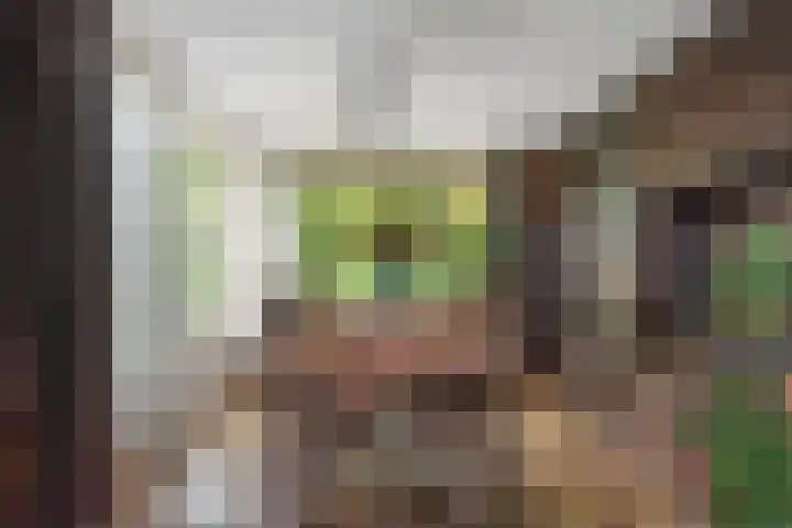 Van den Vondellaan 14 Driehuis NH thumbnail 15